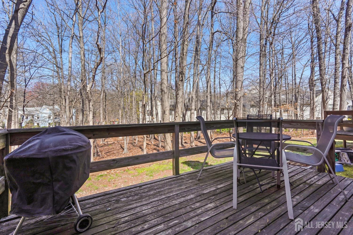 4102 Cricket Circle, Edison, New Jersey image 17