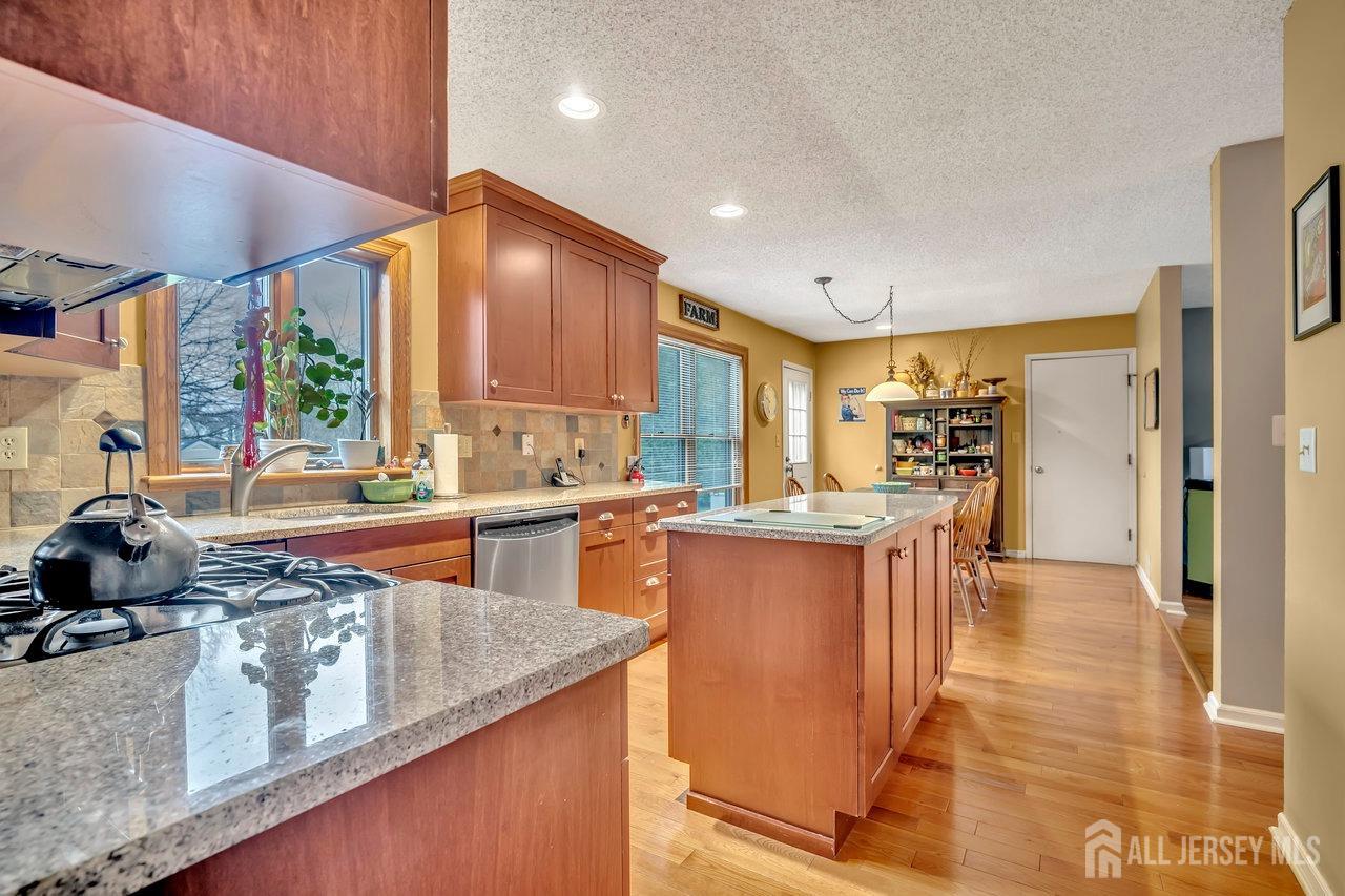 25 Franklin Drive, Plainsboro, New Jersey image 10