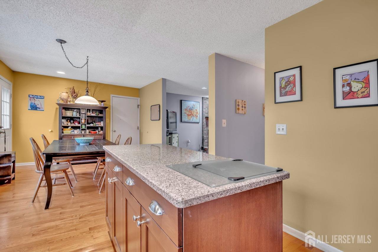 25 Franklin Drive, Plainsboro, New Jersey image 13