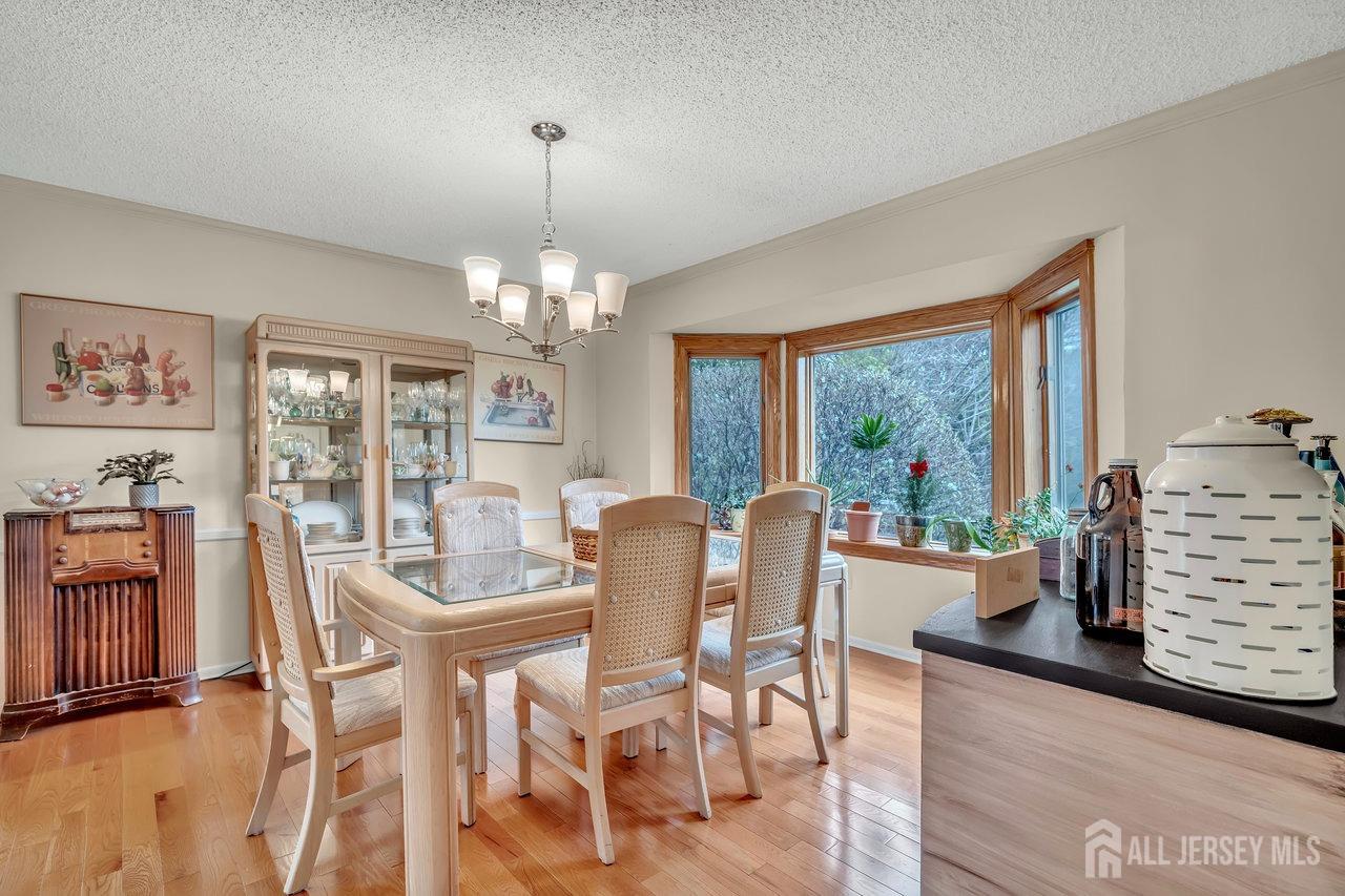 25 Franklin Drive, Plainsboro, New Jersey image 9
