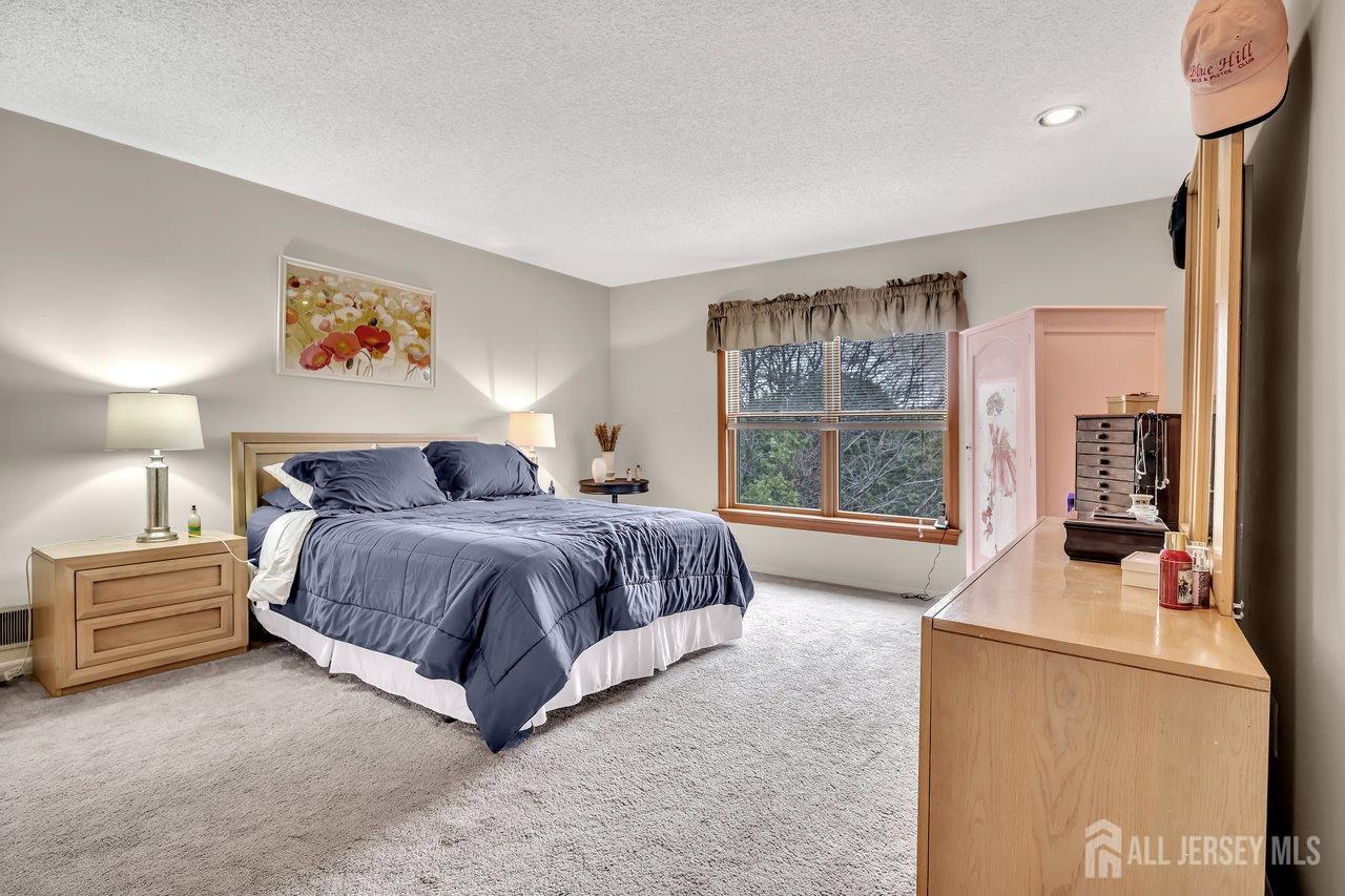 25 Franklin Drive, Plainsboro, New Jersey image 21
