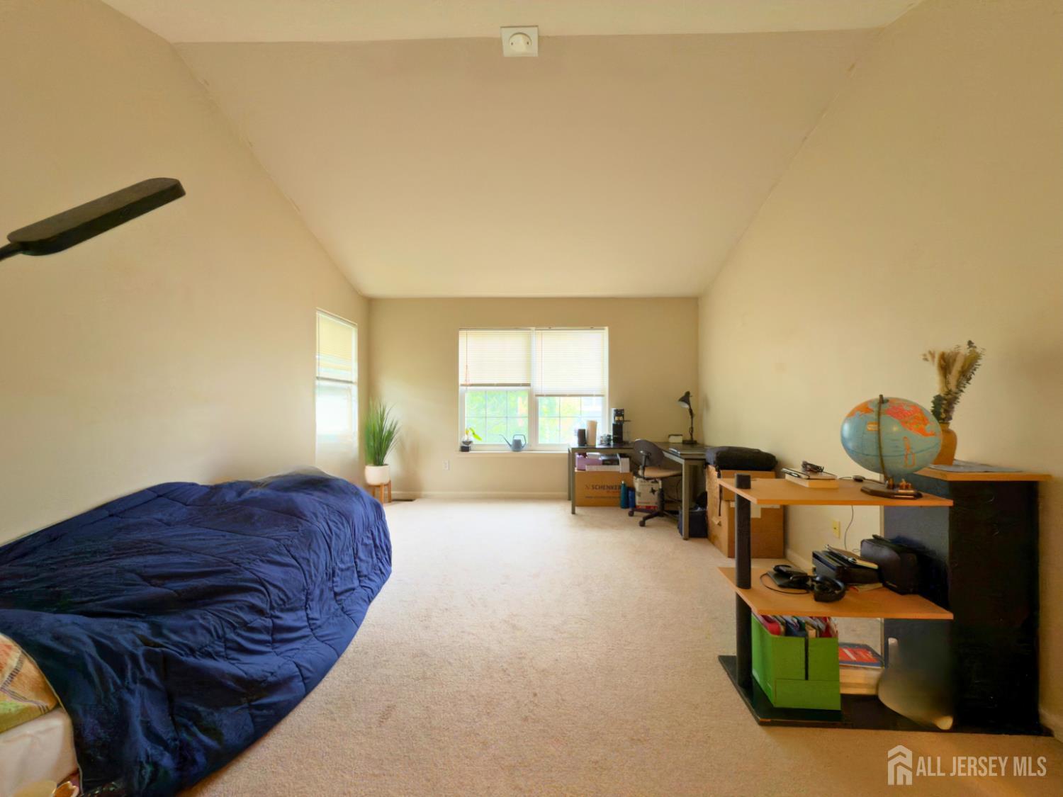 315 Birch Court, New Brunswick, New Jersey image 11