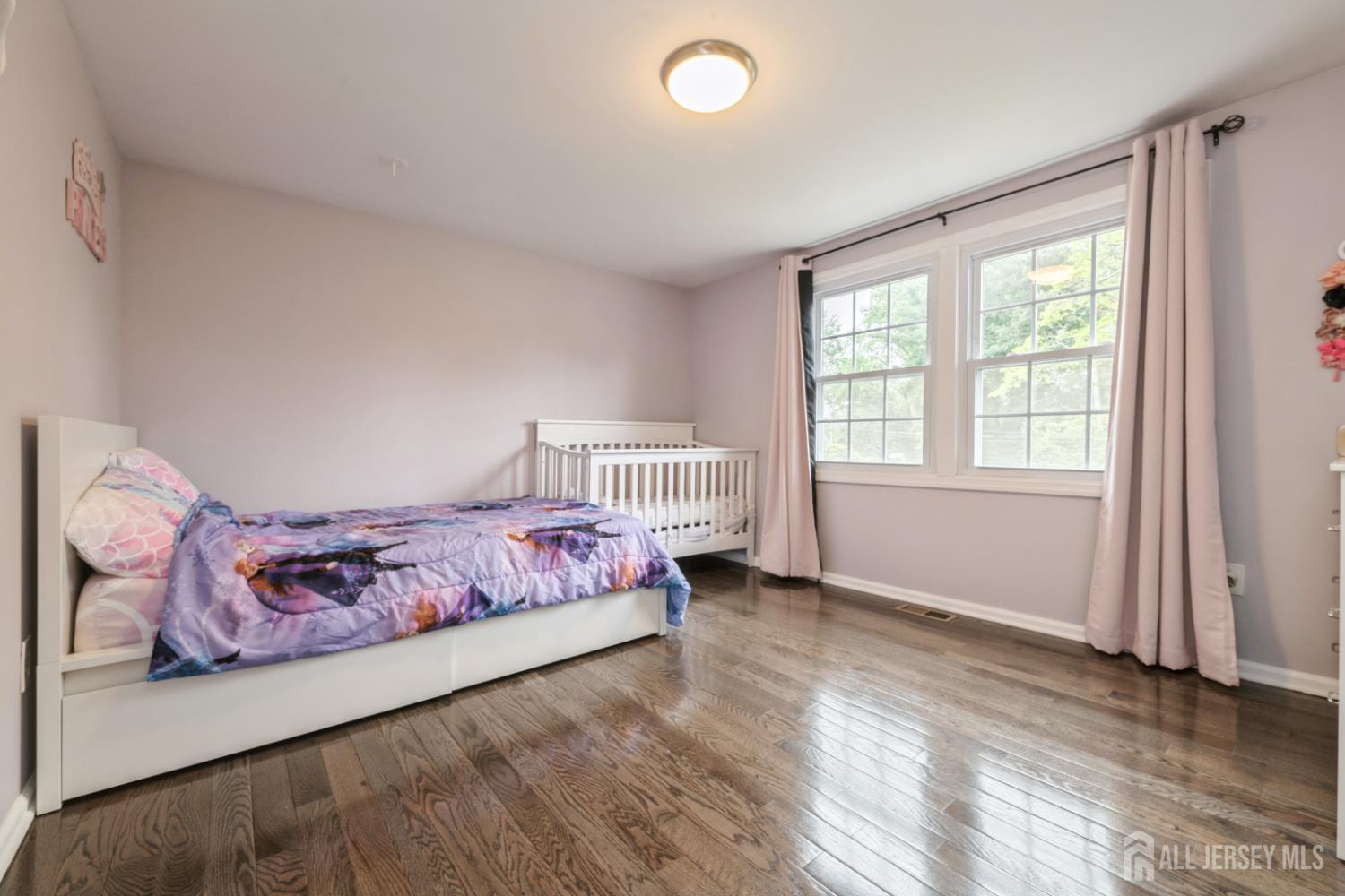1 Webster Road, Franklin, New Jersey image 13