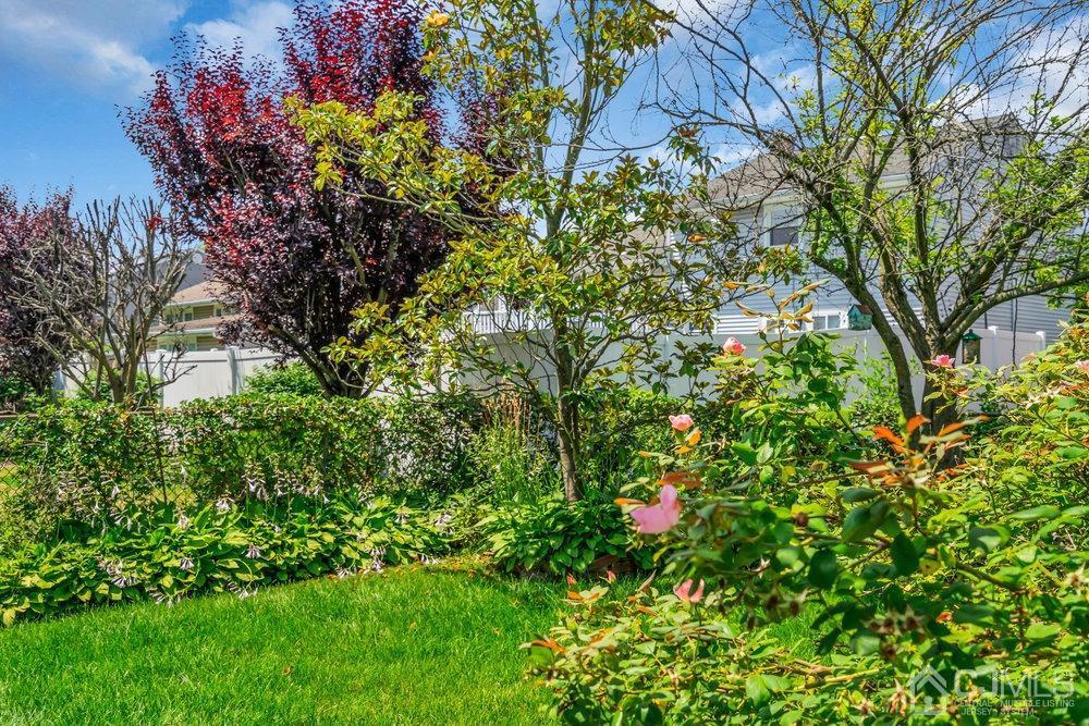 Photo 56 of 56 of 233 Amherst Avenue house