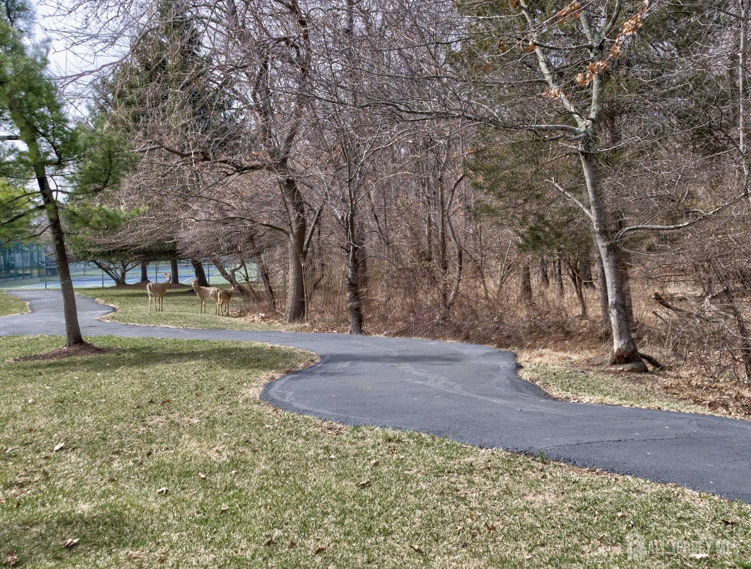 189 Nebula Road, Piscataway, New Jersey image 42