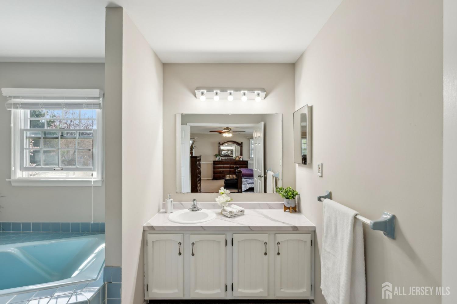12 Titus Lane, Plainsboro, New Jersey image 30