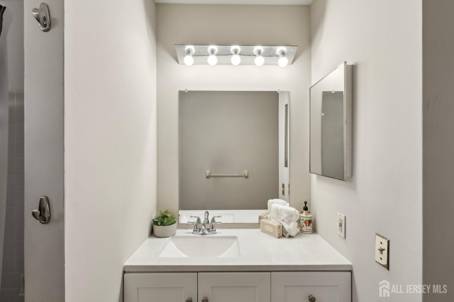 12 Titus Lane, Plainsboro, New Jersey image 37