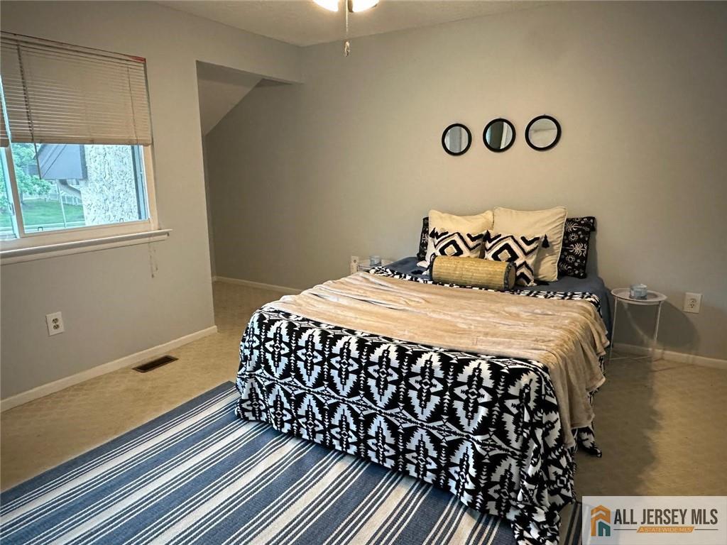 134 Hampshire Drive, Plainsboro, New Jersey image 23