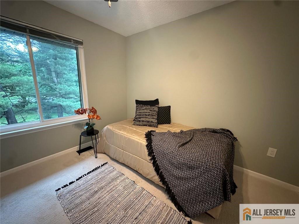 134 Hampshire Drive, Plainsboro, New Jersey image 12