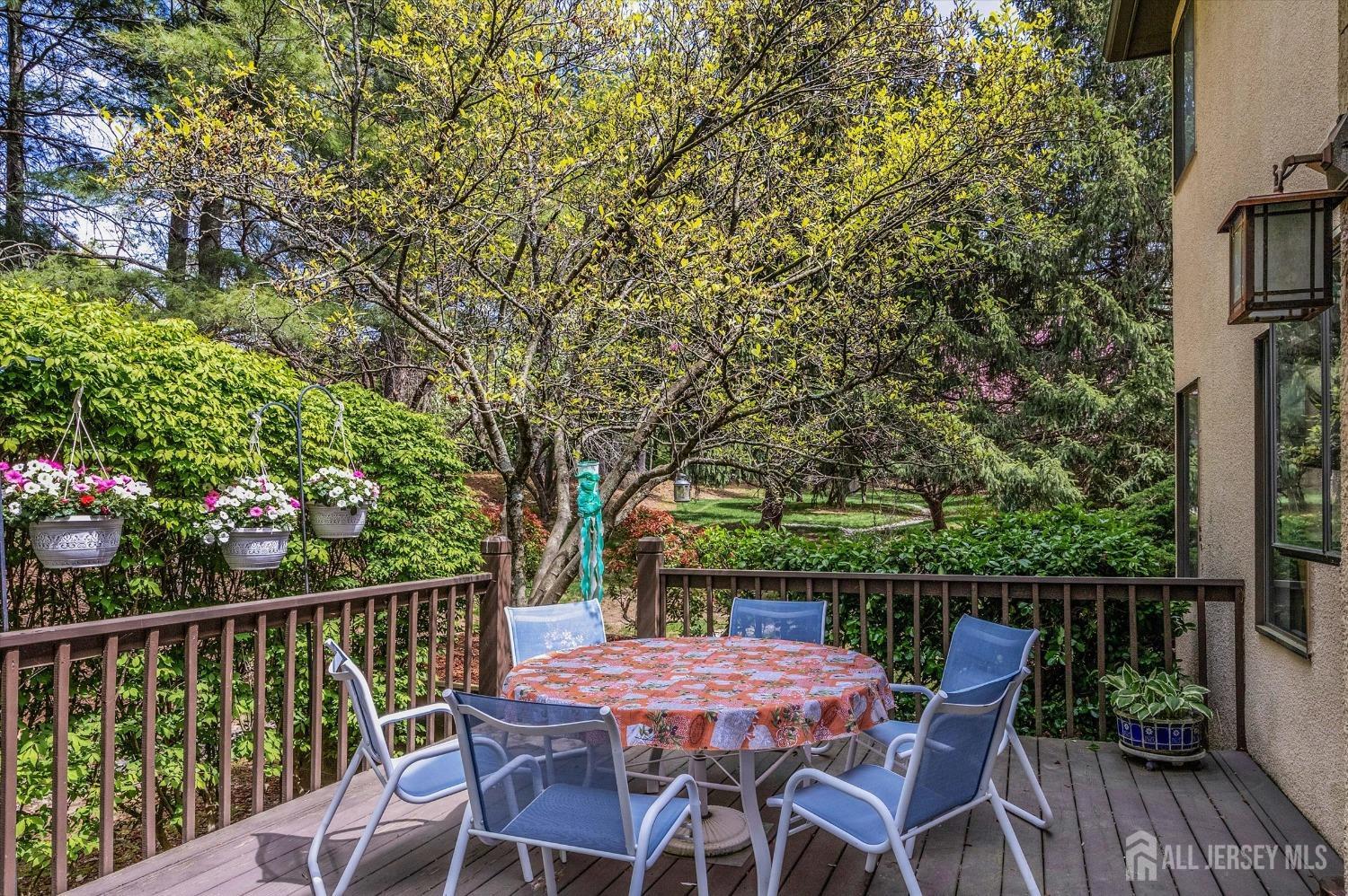 466 Sayre Drive, Plainsboro, New Jersey image 19