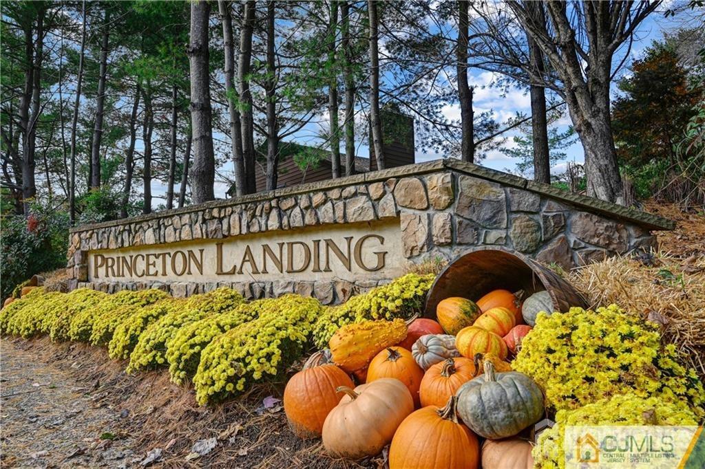 466 Sayre Drive, Plainsboro, New Jersey image 26