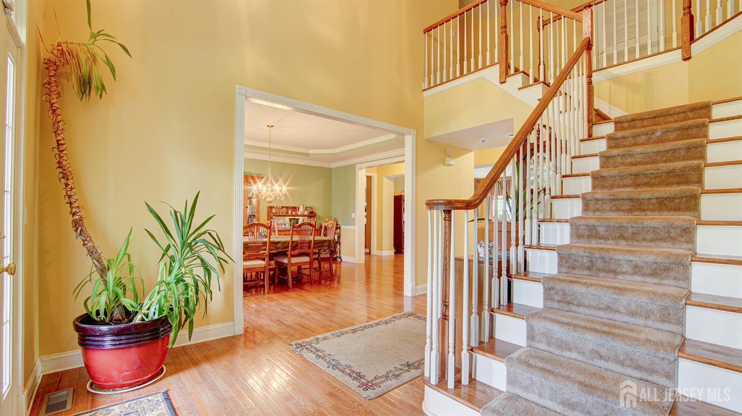 3 hartshorne Drive