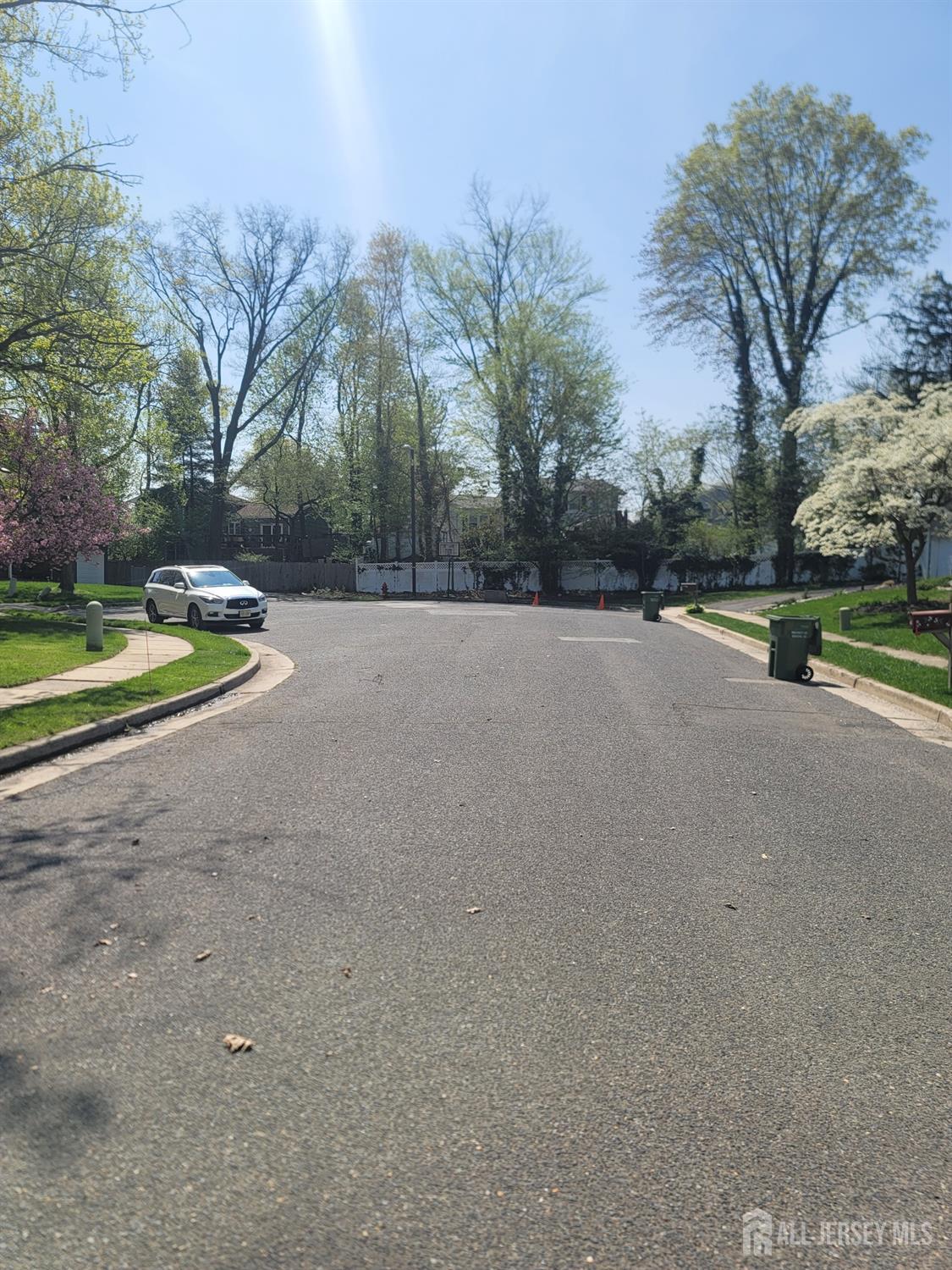 10 Ginesi Court, Metuchen, New Jersey image 40