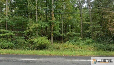 Vacant Land For Sale - 86 Union Valley Road<br/> Monroe, NJ 08831