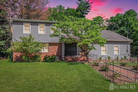 Homes For Sale - 2 Abbott Court<br/> Edison, NJ 08820