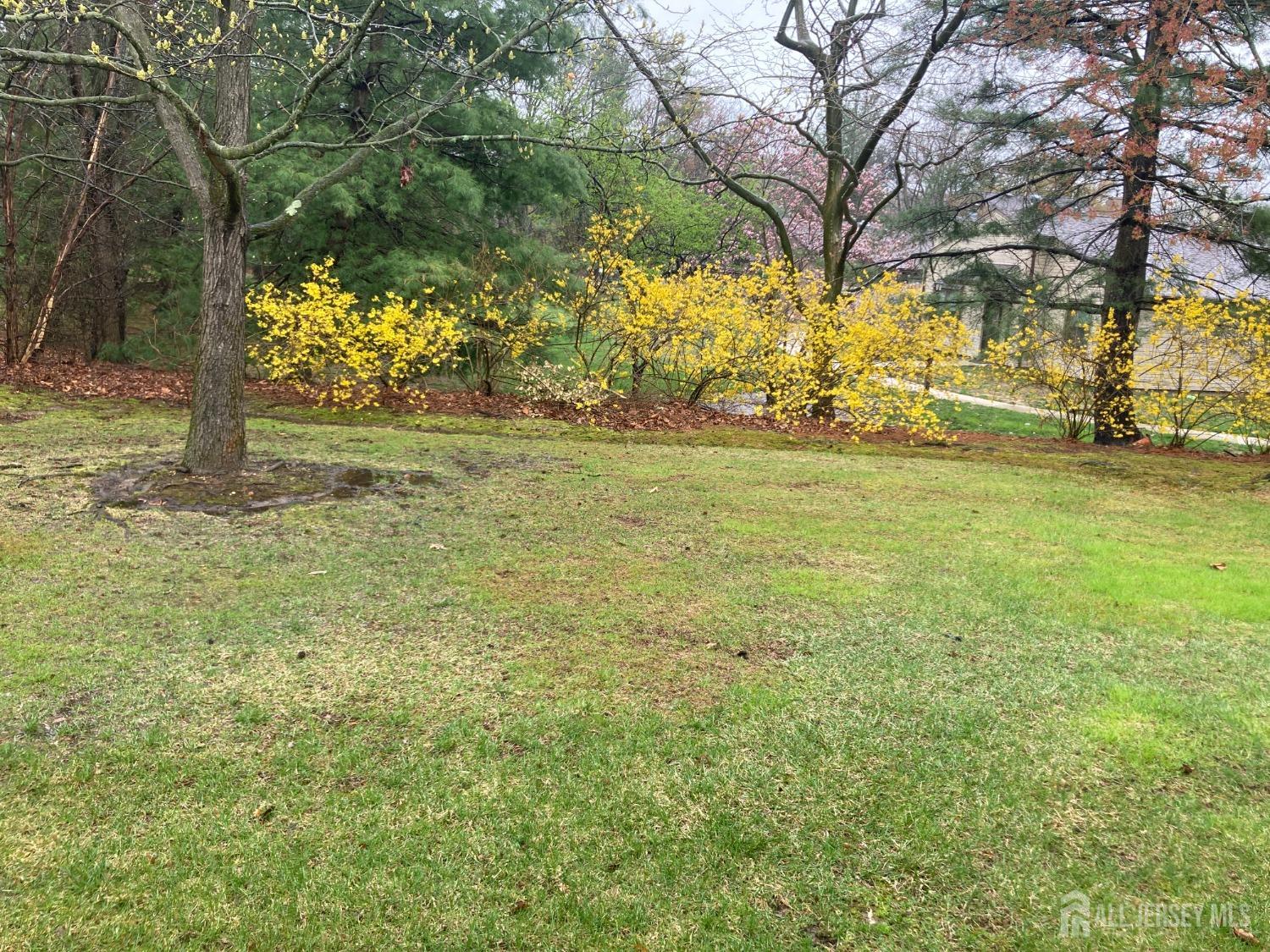 191 Wycoff Way, East Brunswick, New Jersey image 7