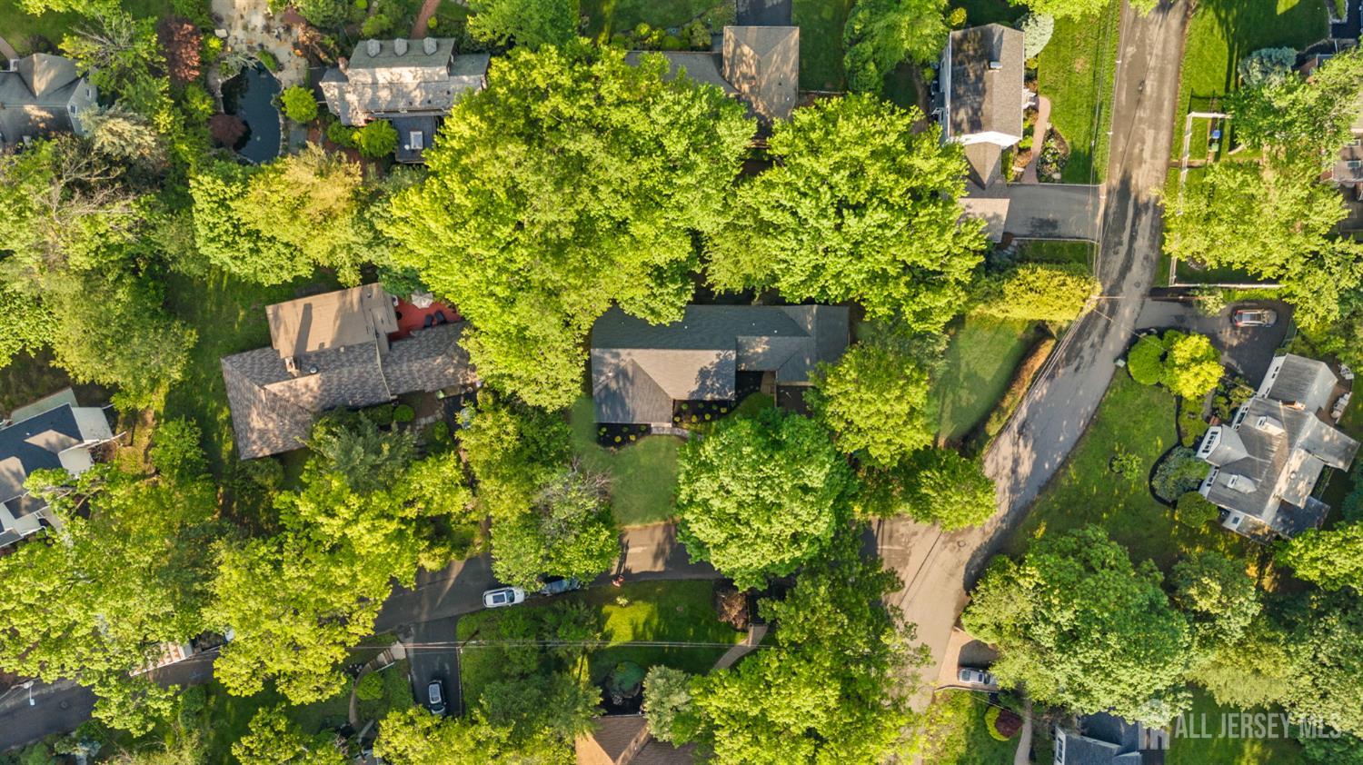 2 Beech Lane, Edison, New Jersey image 49