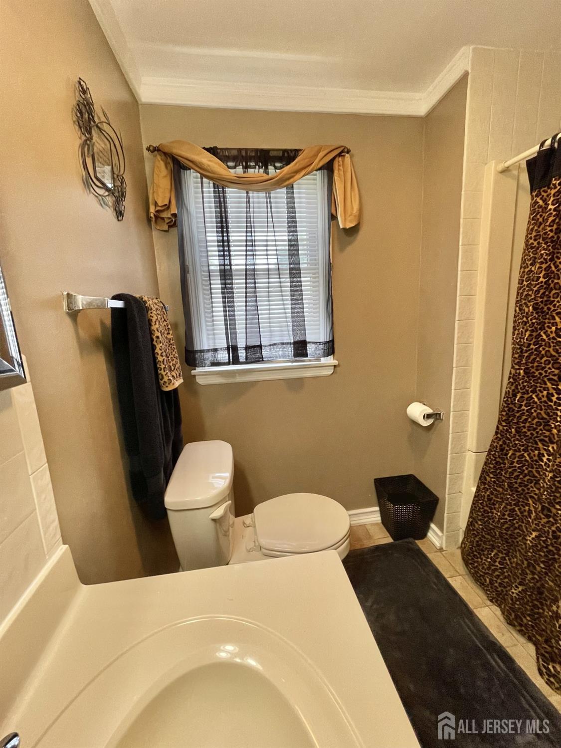 1211 So 9th Street, South Plainfield, New Jersey image 19