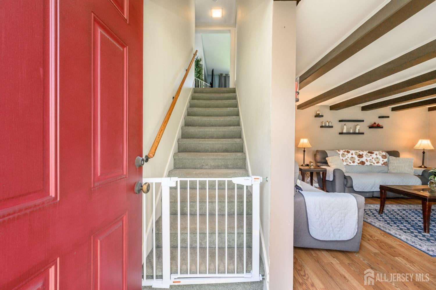 1043 County Road 519