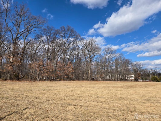 107 WESTON RD, SOMERSET, NJ 08873 - Image 6bebd3b9f50189fc2c2ad0d7be7e175c/4116252205