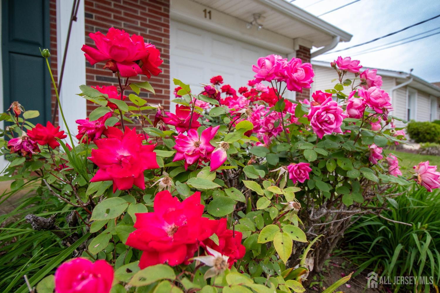 11 Drexel Terrace, Monroe Township, New Jersey image 34