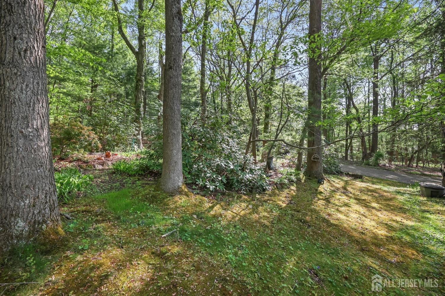 3995 Old Bridge Matawan Road, Old Bridge, New Jersey image 33