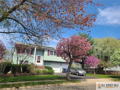 Homes For Sale - 8 Windy Hill Road<br/> Metuchen, NJ 08840