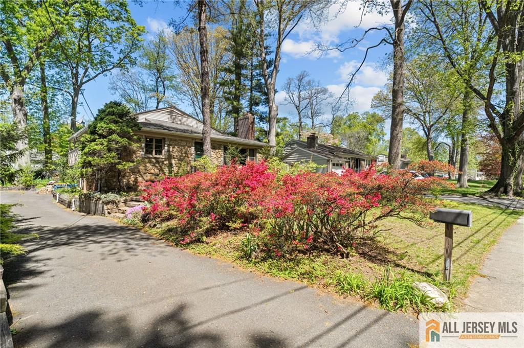 552 Parkview Avenue, North Plainfield, New Jersey image 4