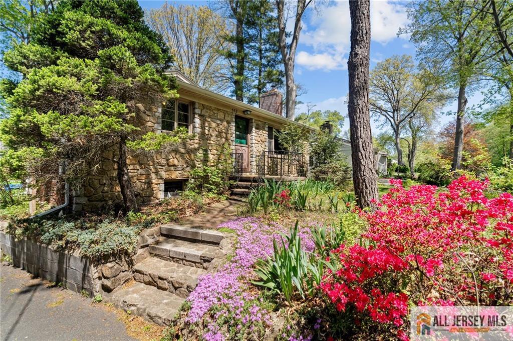 552 Parkview Avenue, North Plainfield, New Jersey image 7