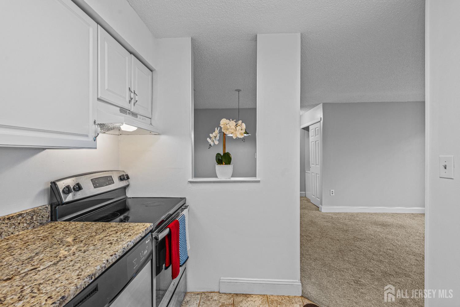 8113 Tamarron Drive, Plainsboro, New Jersey image 11