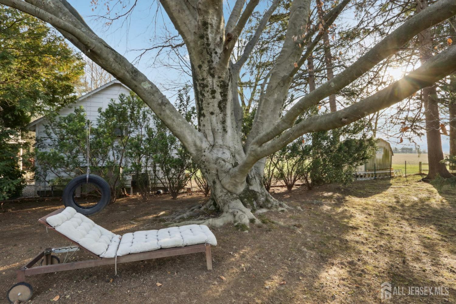 135 N Main Street, Cranbury, New Jersey image 10