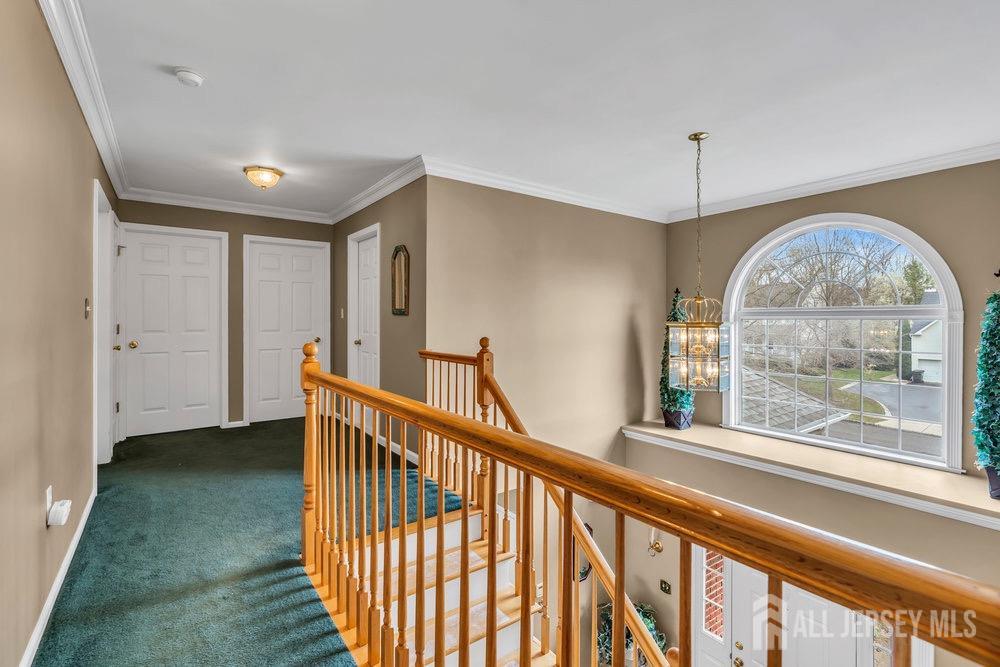 1 Birch Ct Court, Monroe, New Jersey image 29