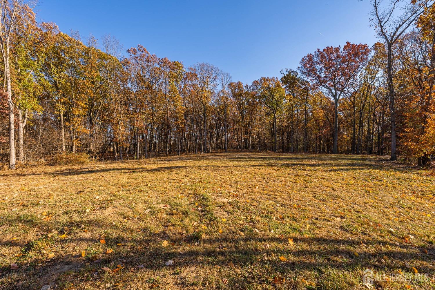 10 Tracy Drive, East Brunswick, New Jersey image 7