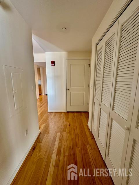 20 Livingston Avenue #1003, New Brunswick, New Jersey image 7