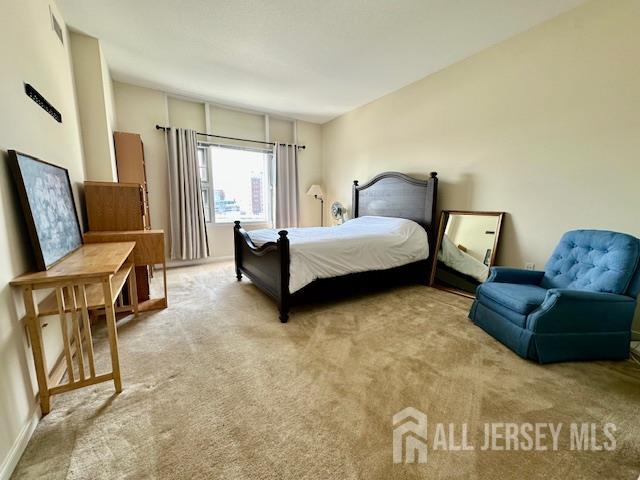 20 Livingston Avenue #1003, New Brunswick, New Jersey image 8