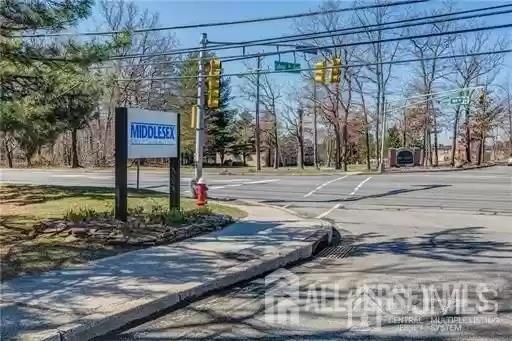 126 College Drive, Edison, New Jersey image 8