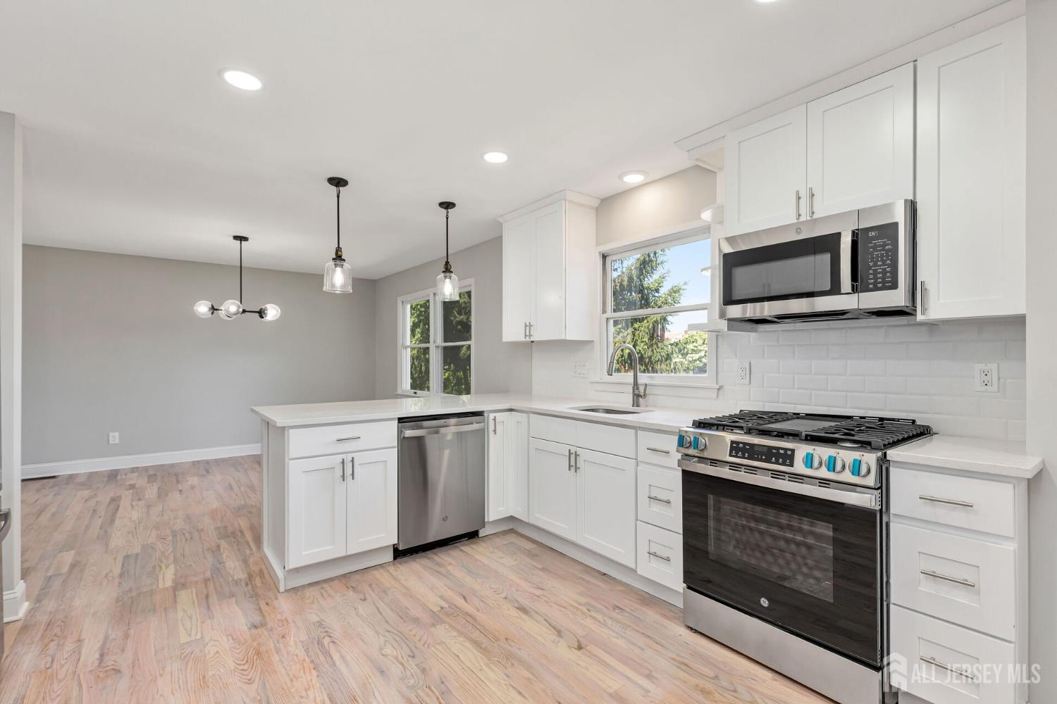 141 Day Street, South Plainfield, New Jersey image 5