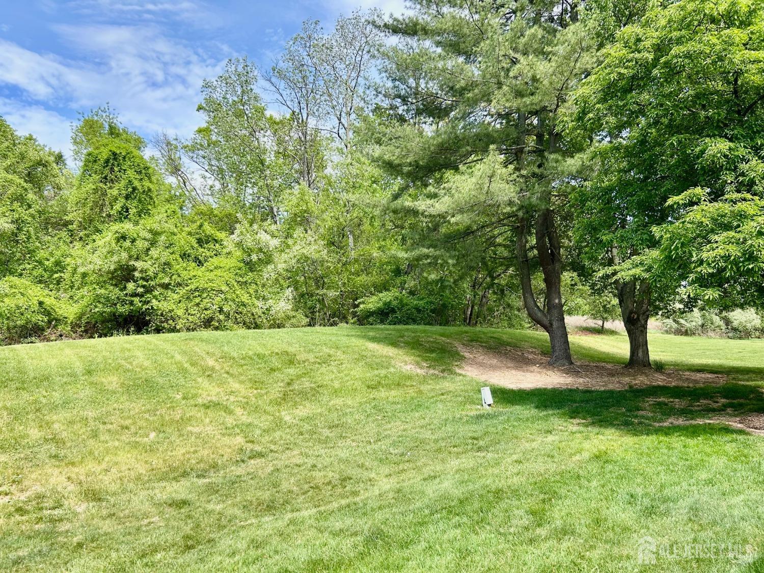 4424 Sayre Drive, Plainsboro, New Jersey image 21