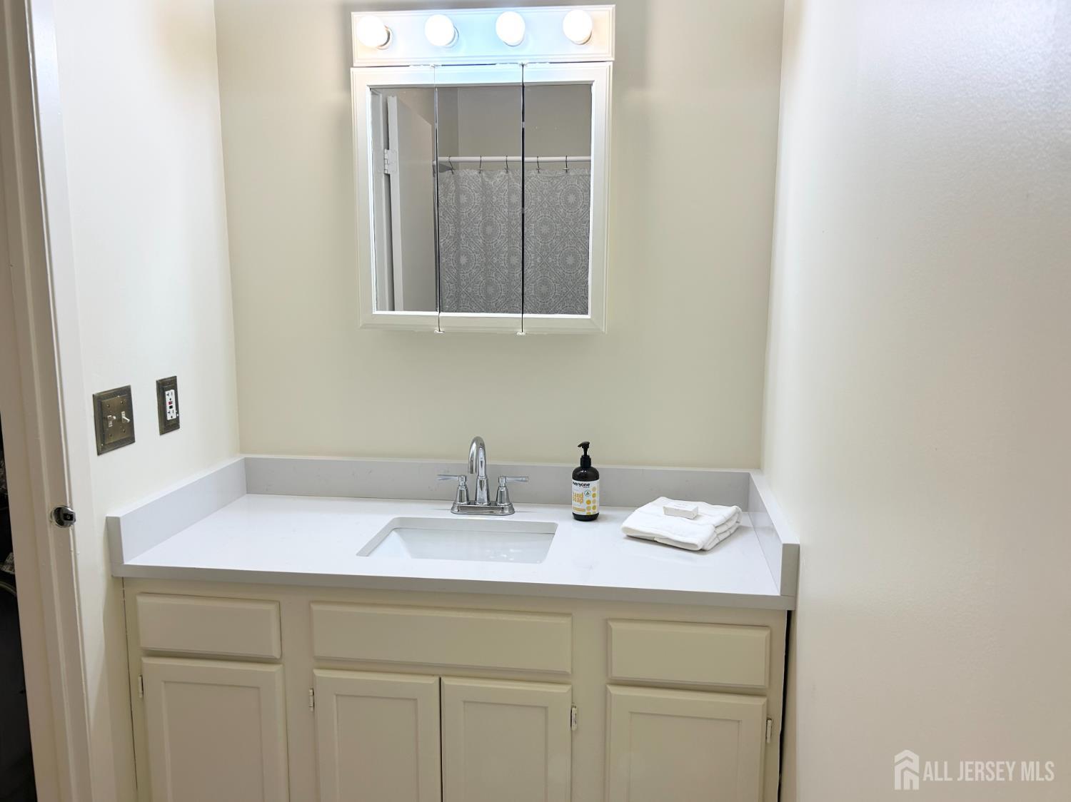 4424 Sayre Drive, Plainsboro, New Jersey image 15