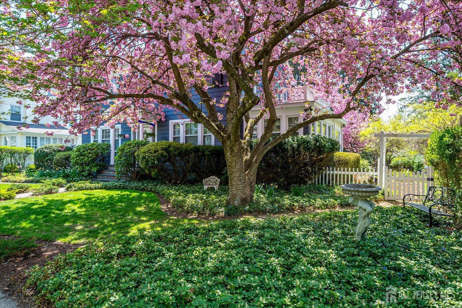 1336 Chetwynd Avenue, Plainfield, New Jersey image 4