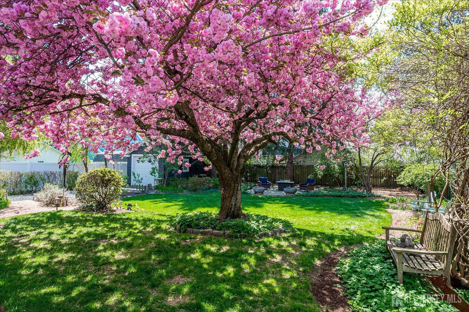 1336 Chetwynd Avenue, Plainfield, New Jersey image 47