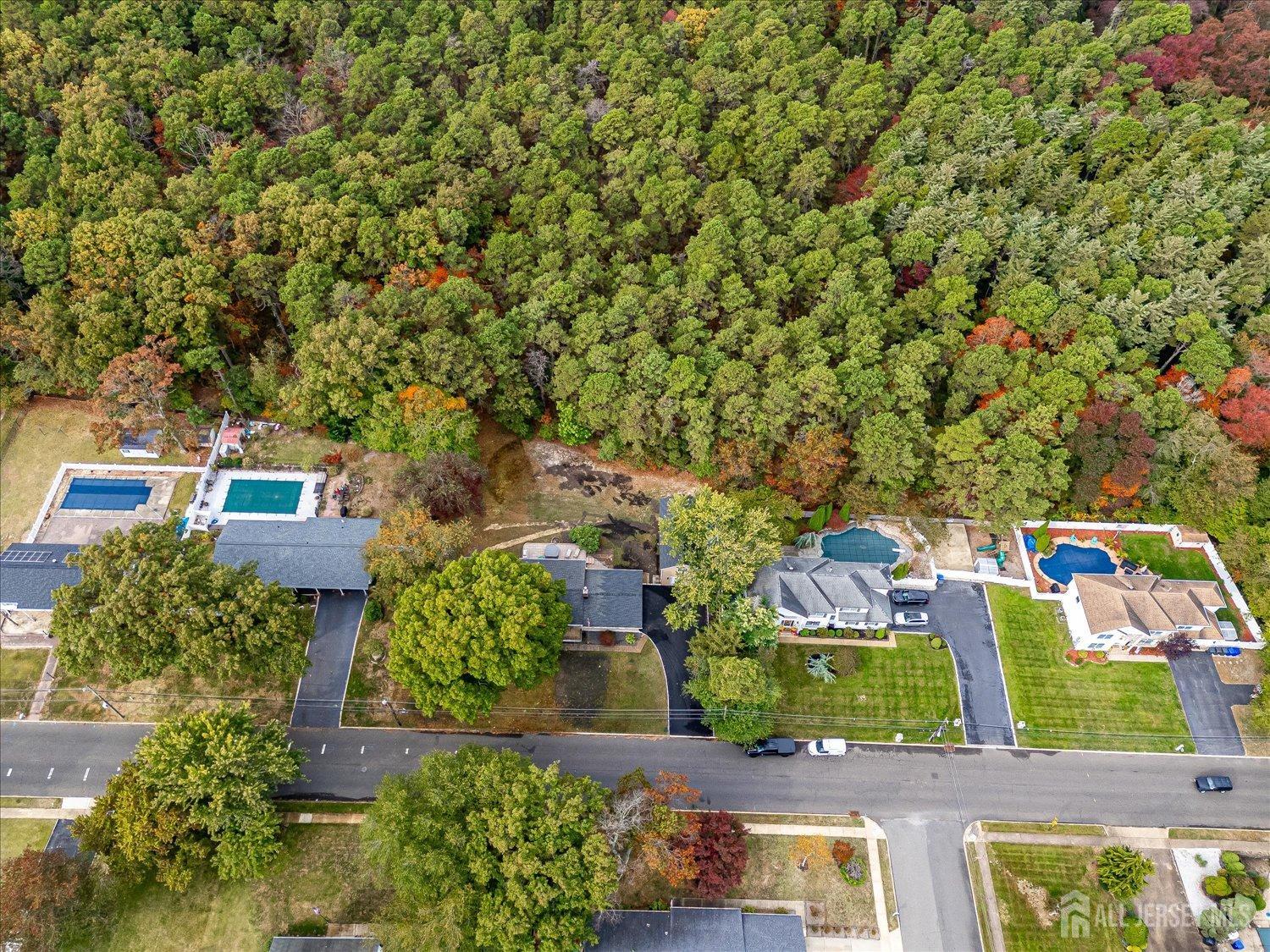 456 Birch Bark Drive, Brick, New Jersey image 6