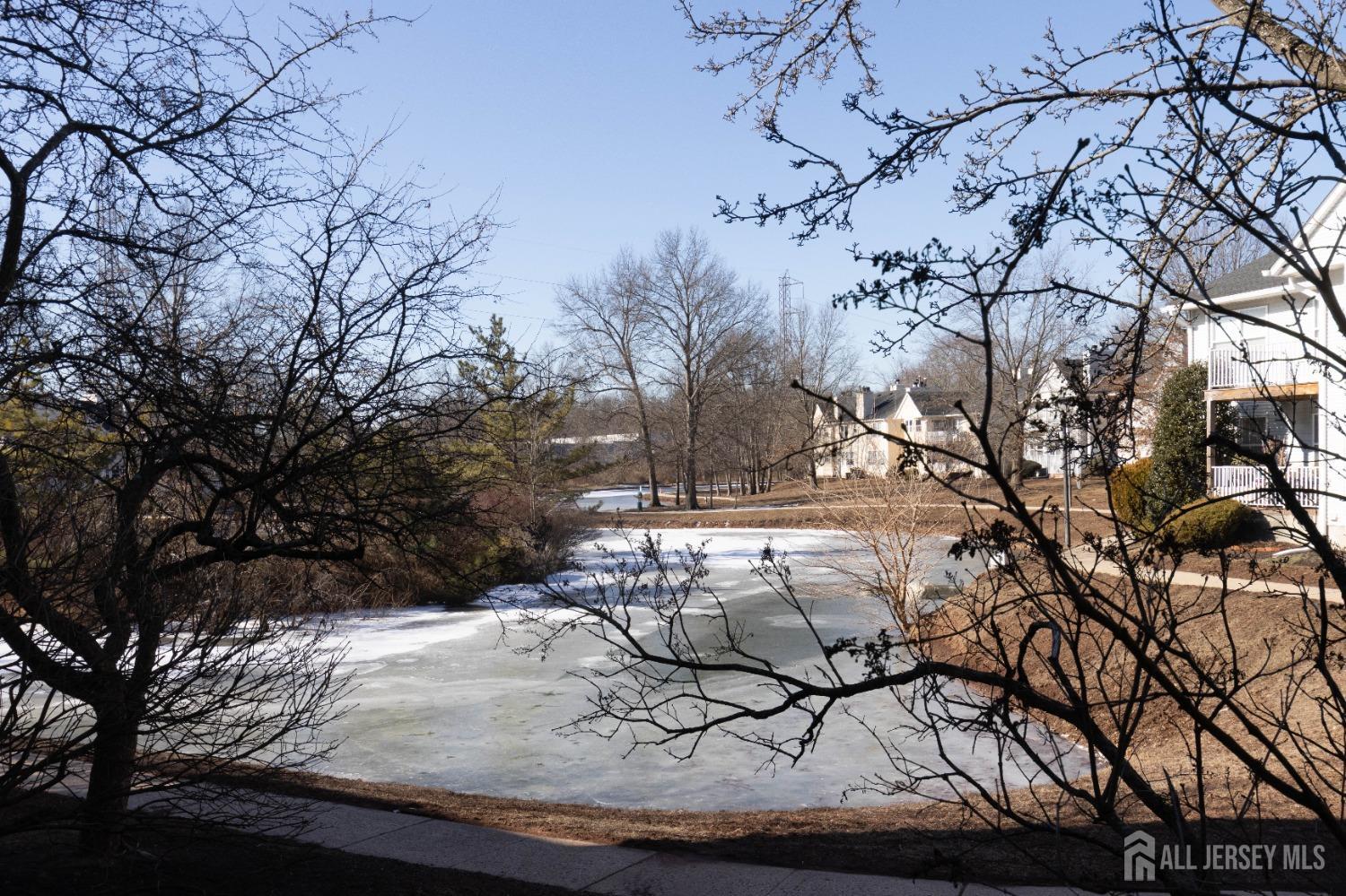 Piscataway, New Jersey 08854, United States, 2 Bedrooms Bedrooms, ,2 BathroomsBathrooms,Residential,Active,98620