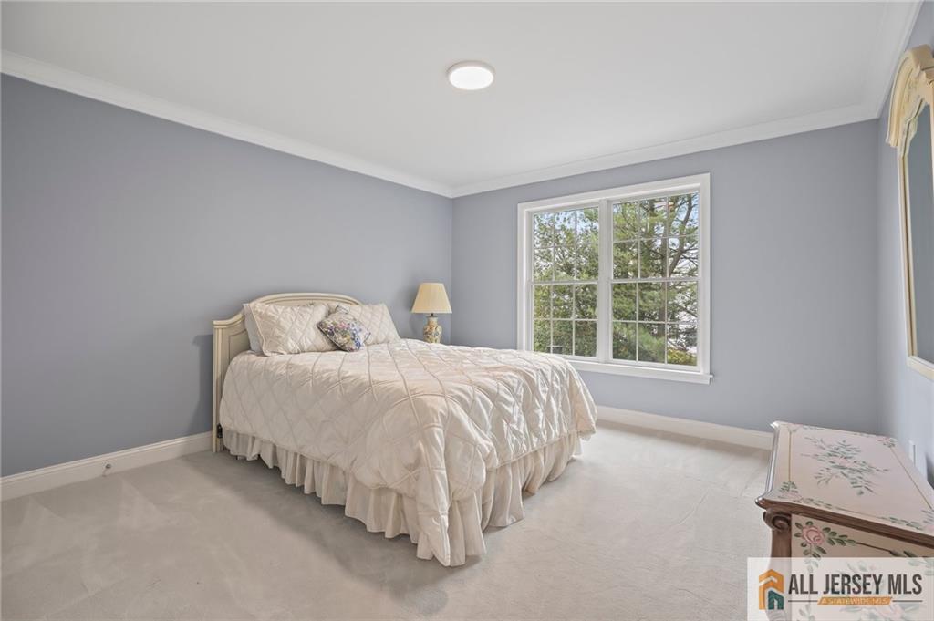 16 Clinton Court, Plainsboro, New Jersey image 31