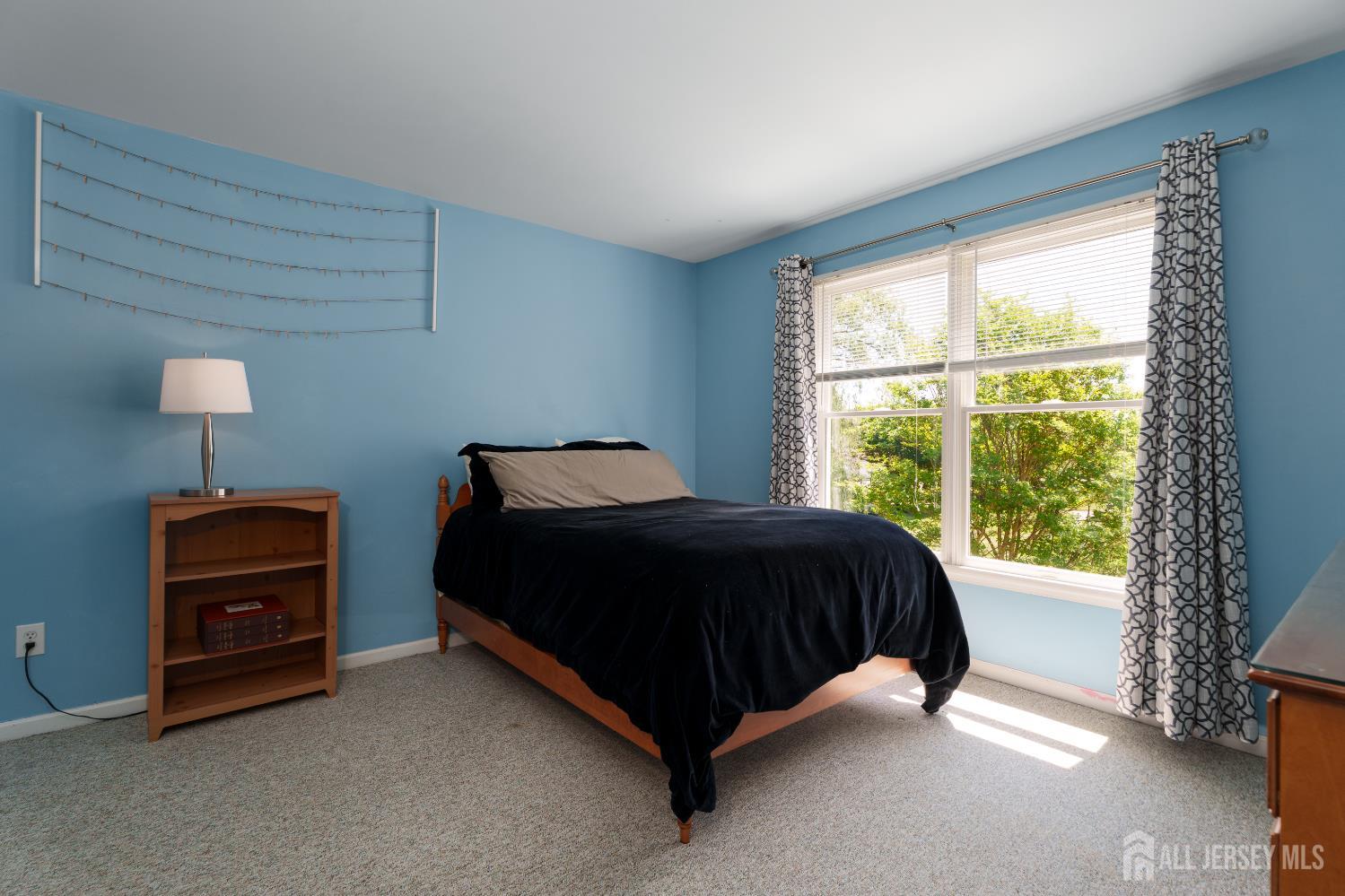 3 Wheatsheaf Court, Plainsboro, New Jersey image 47