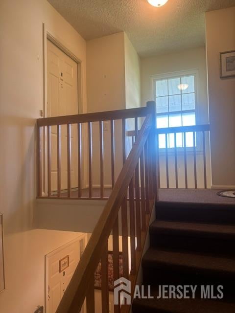 541 Cornus Plaza N