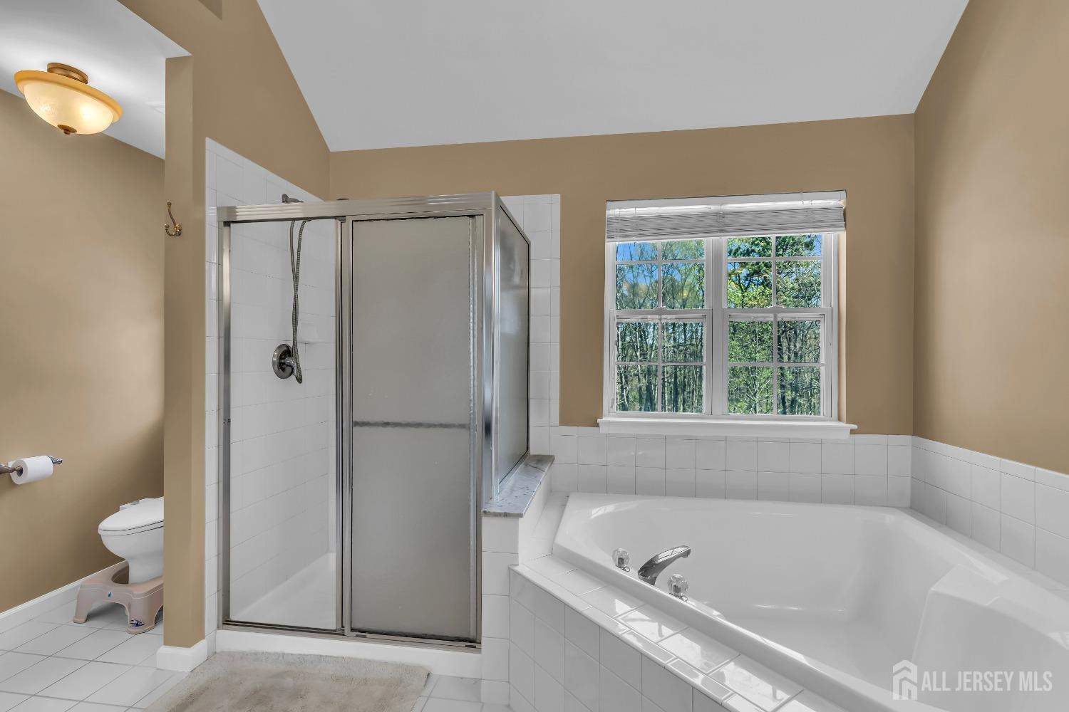 4 Angelina Court, Monroe Township, New Jersey image 21