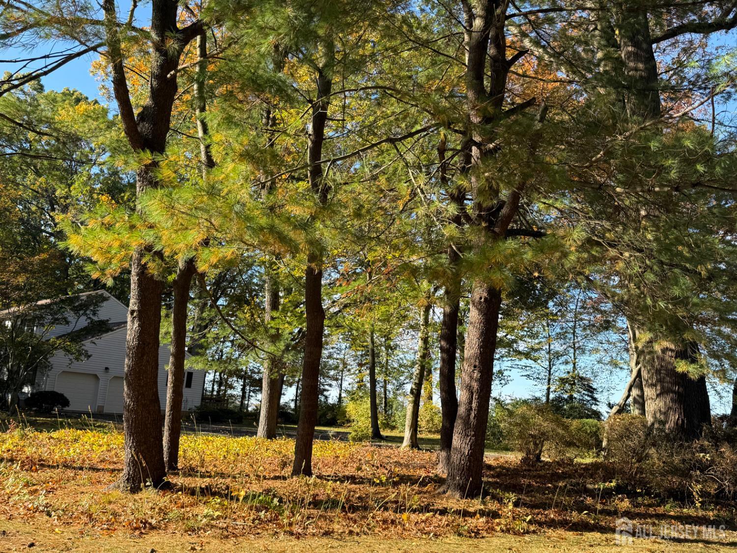 Plainsboro, New Jersey 08536, United States, 4 Bedrooms Bedrooms, ,3 BathroomsBathrooms,Residential,Coming Soon,232420