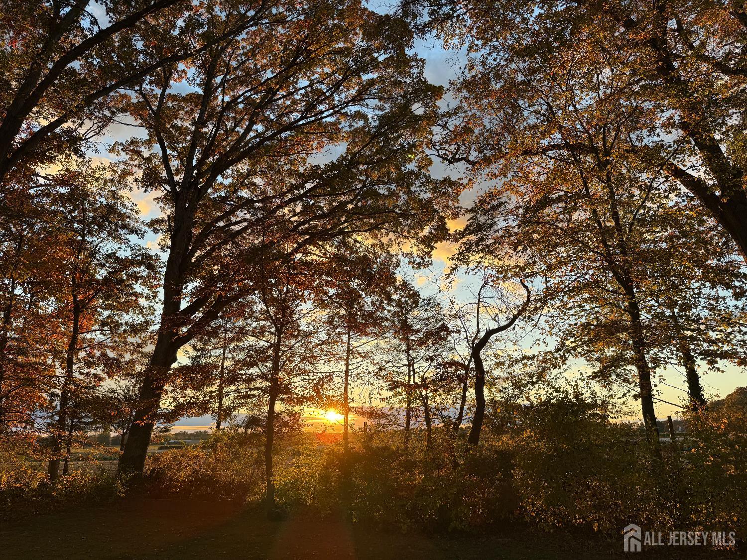 Plainsboro, New Jersey 08536, United States, 4 Bedrooms Bedrooms, ,3 BathroomsBathrooms,Residential,Coming Soon,232420