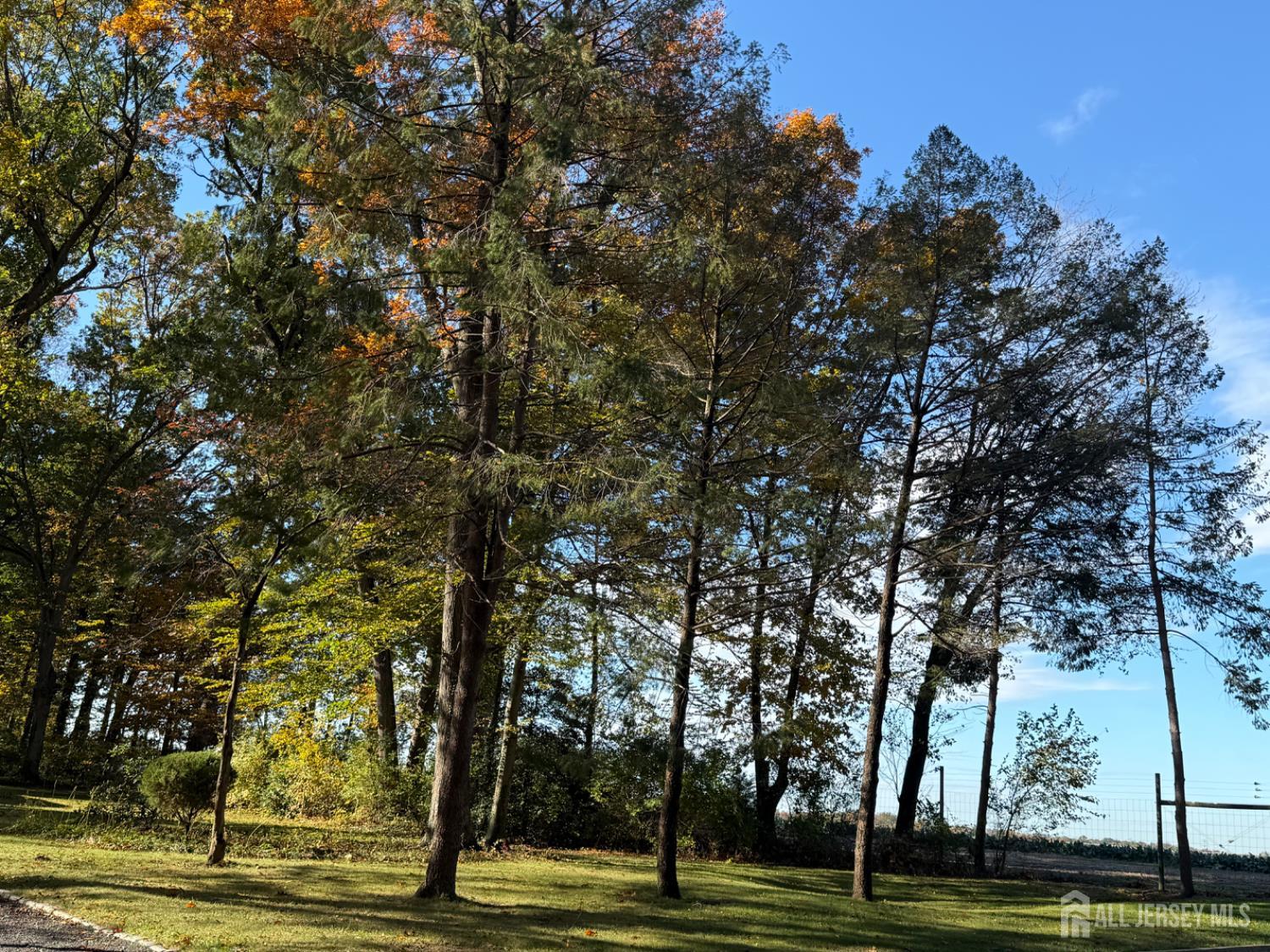 Plainsboro, New Jersey 08536, United States, 4 Bedrooms Bedrooms, ,3 BathroomsBathrooms,Residential,Coming Soon,232420